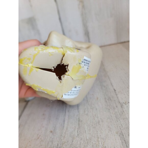 Halloween AS IS skull prop home decor figure scary - Picture 6 of 11